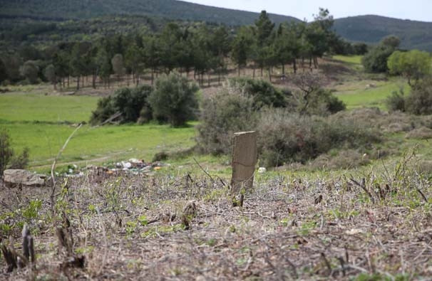 Çanakkale'de bir asır sonra şehitlik bulundu