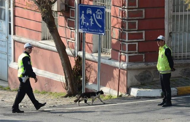 Cumhurbaşkanı konvoyuna sürpriz