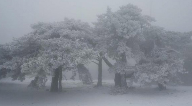 Meteoroloji uyarmıştı ! Kar yine esir aldı...
