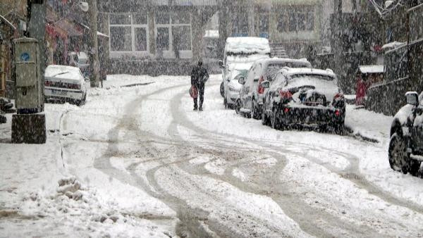 Mart'ın 30'unda lapa lapa kar yağdı