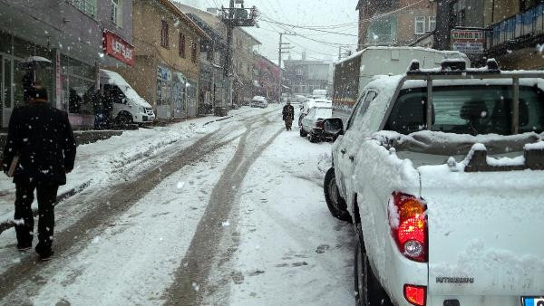 Mart'ın 30'unda lapa lapa kar yağdı