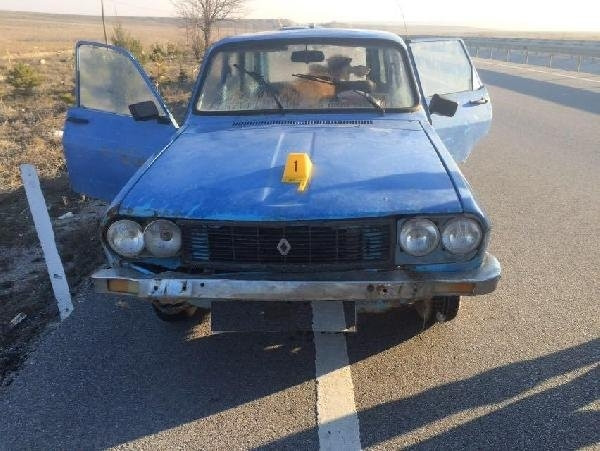 Çaldıkları İneği Otomobille Götürürken Yakalandılar