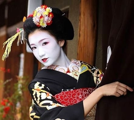 Japonya hakkında bunları daha önce duymadınız !