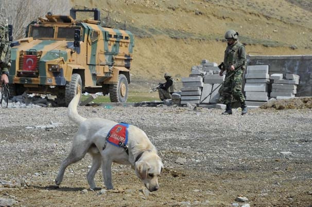 Yüksekova’da EYP'ler tek tek imha ediliyor