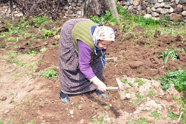 Türkiye Şerife Nine'yi konuşuyor !