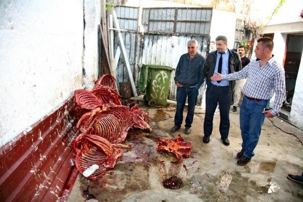 Kaçak at kesilen depoya baskın !