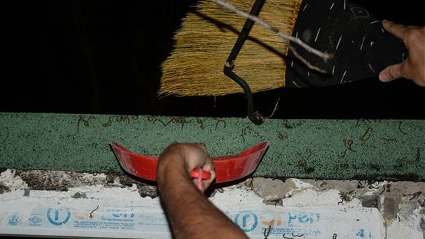 Köyü resmen istila ettiler !