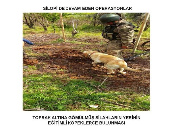 Yüksekova ve Silopi'den son fotoğraflar