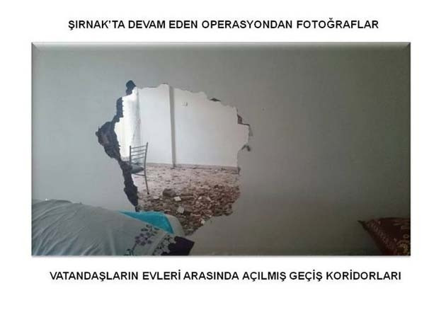 PKK'lıların bahçesinden hint keneveri çıktı