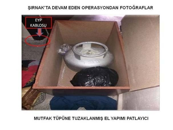 PKK'lıların bahçesinden hint keneveri çıktı