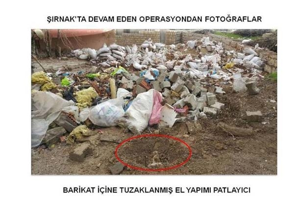 PKK'lıların bahçesinden hint keneveri çıktı