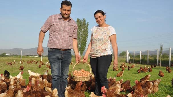 3 tavukla girdikleri işte markalaştılar !