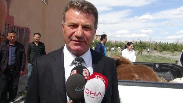 Yiyecek arayan dev boz ayı canından oldu