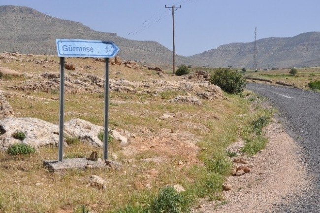 15 günde 250 koyun telef oldu
