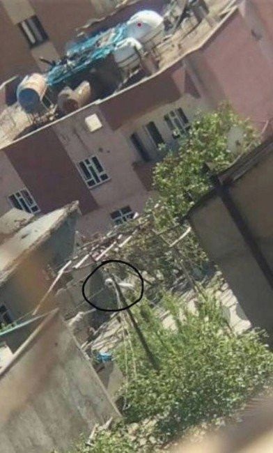 Hainler sokaklara kamera yerleştirmiş