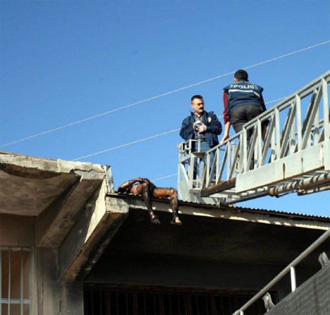 Elektriğe kapılıp yandı!