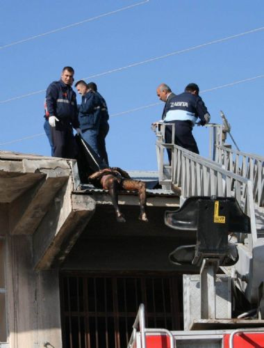 Elektriğe kapılıp yandı!