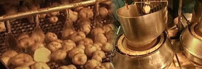 Cips nasıl yapılır?
