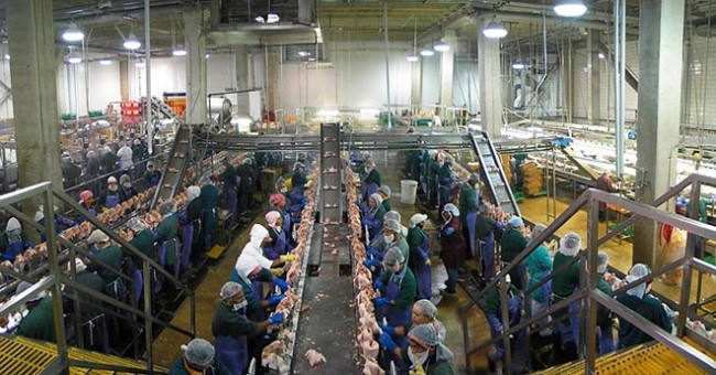 Bu işyerinde işçilerin altı bağlanıyor!