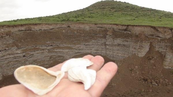 Kars'ta deniz kabuğu ve kumu bulundu