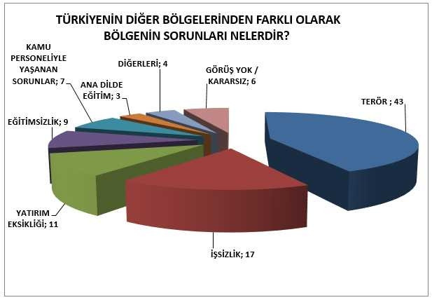 İşte son anket: Kürt seçmenin yüzde 91'i...