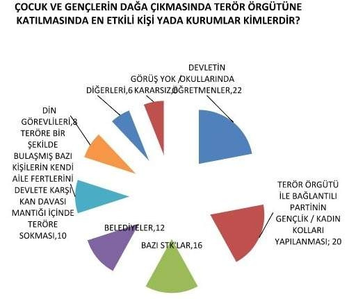 Anket şirketi araştırması sırasında şok oldu