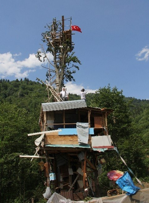 Bal hırsızı ayı Rizeli'yi isyan ettirdi
