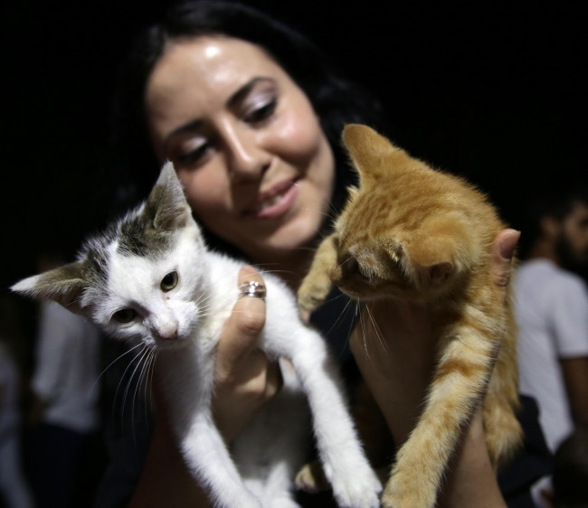 Büyükşehir Rahmet Ayında Sokak Hayvanlarını Unutmadı