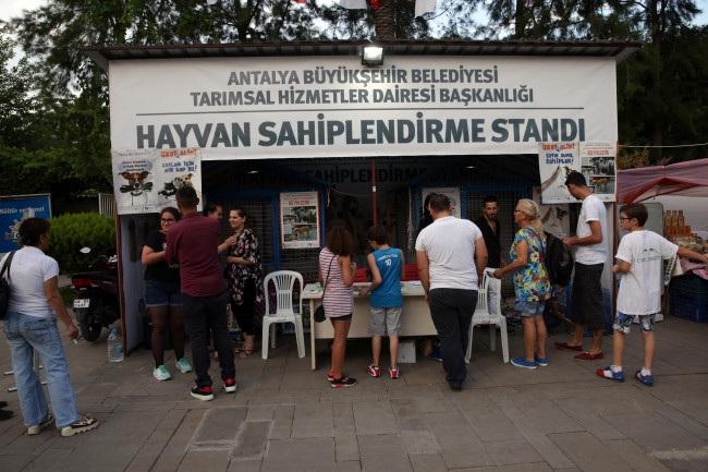 Büyükşehir Rahmet Ayında Sokak Hayvanlarını Unutmadı
