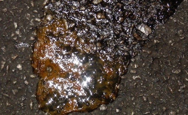 Mersin’de Asfaltta Yumurta Pişirdiler
