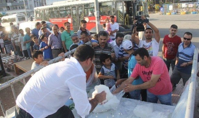 Pide değil, kar kuyruğu !