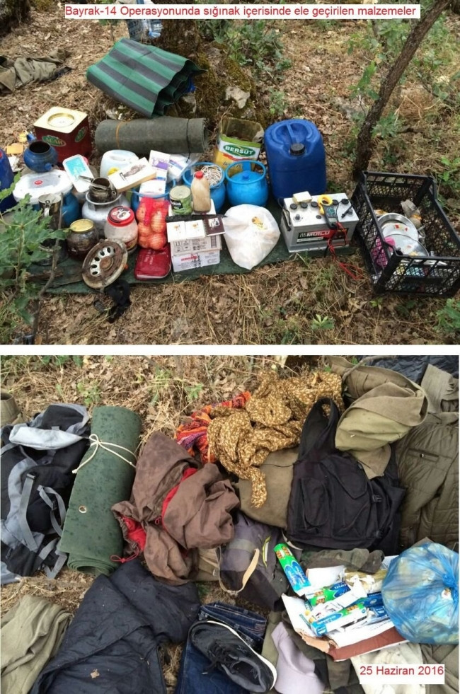 Lice'de PKK'ya bir darbe daha