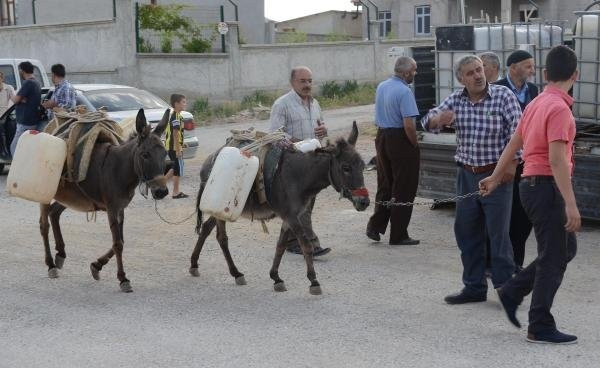 Eşeklerle evlere su taşıyorlar
