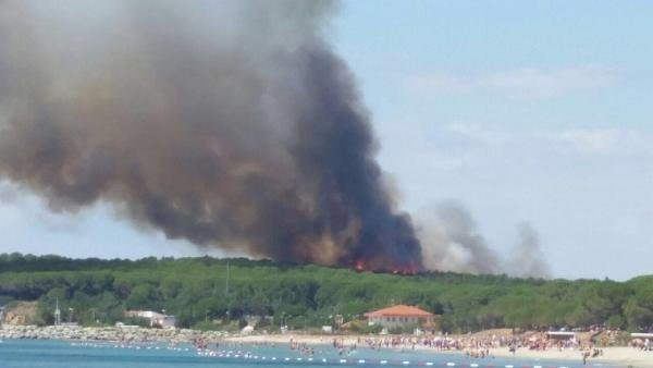 Gelibolu Yarımadası'nda yürekler ağza geldi !