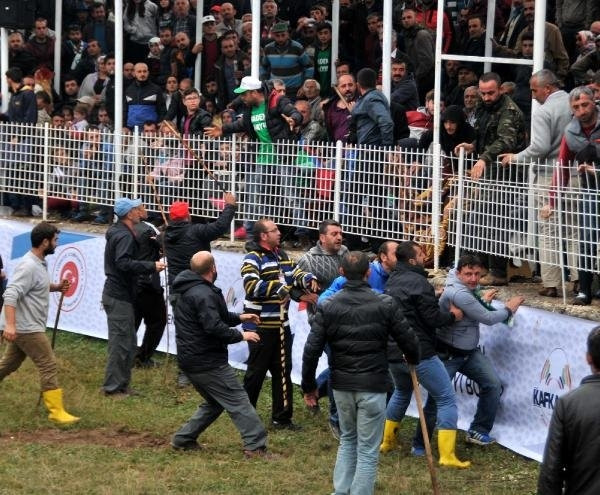 Boğalar değil sahipleri dövüştü !