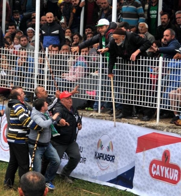 Boğalar değil sahipleri dövüştü !