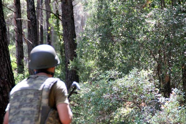Marmaris'te ormana kaçan tim için operasyon