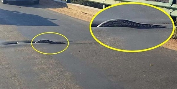 Otoyolun ortasında...