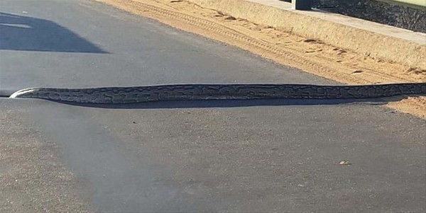 Otoyolun ortasında...