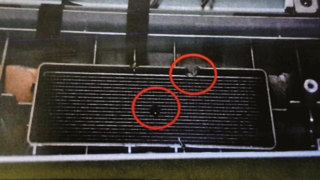 İşte FETÖ'nün böcekleri