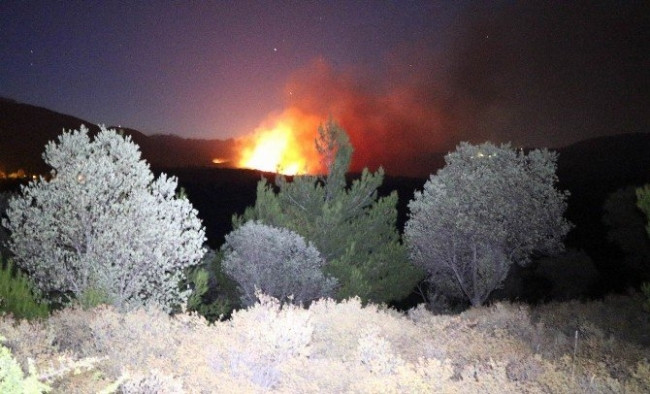 Kazdağları'nda orman yangını