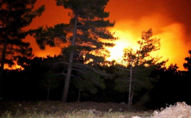 Kazdağları'nda orman yangını