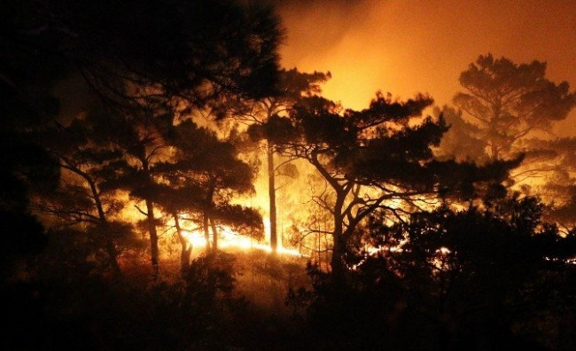 Kazdağları'nda orman yangını
