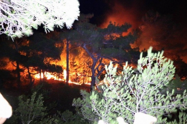 Kazdağları'nda orman yangını