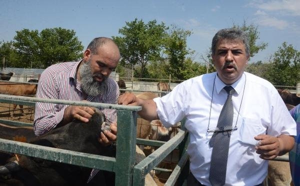 Kurbanlık fiyatları zamlanıyor