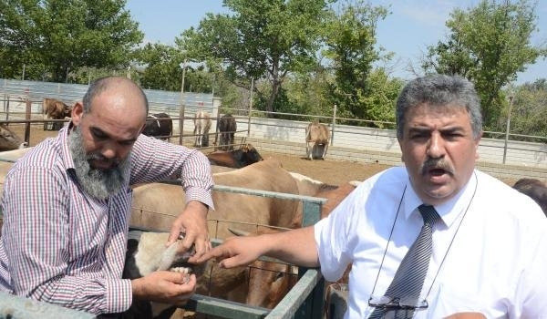 Kurbanlık fiyatları zamlanıyor