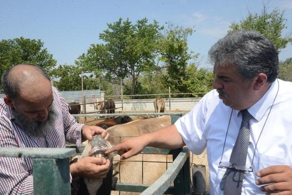 Kurbanlık fiyatları zamlanıyor