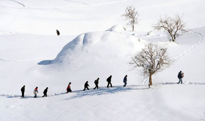 Acısıyla, tatlısıyla 2008