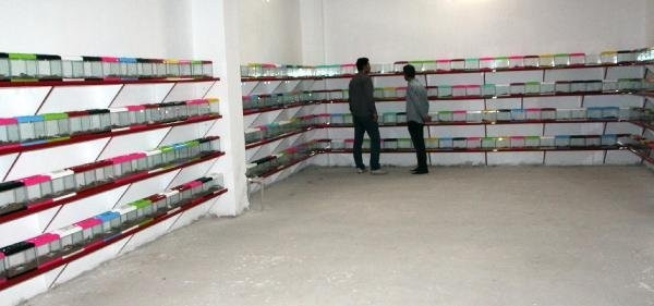 Şanlıurfa'da kurdular; litresi 10 milyon dolar...
