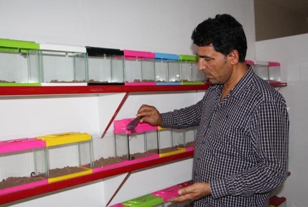 Şanlıurfa'da kurdular; litresi 10 milyon dolar...